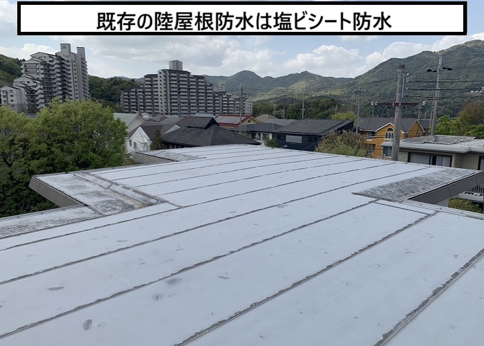 大阪市｜陸屋根シート防水からの雨漏りを無料点検とご提案
