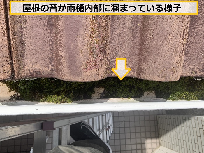 箕面市｜塗装済みモニエル瓦に必要なメンテナンスとは？長持ちさせるポイントを解説