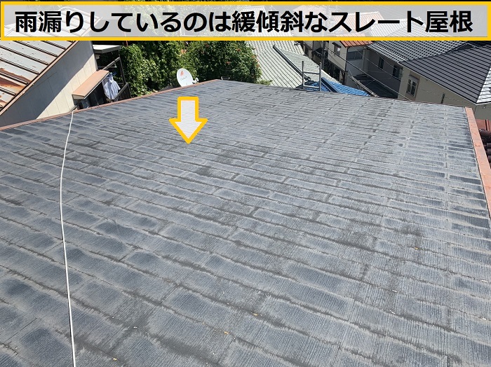 箕面市｜緩い屋根勾配が原因？雨漏り事例から見る屋根勾配の重要性