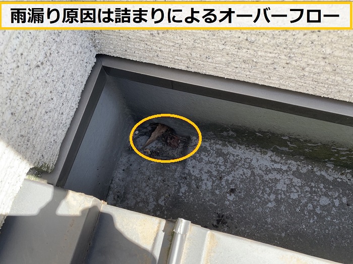 高槻市｜築10年でまさかの雨漏り！調査で判明した意外な原因とは？