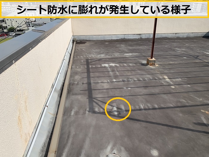 高槻市｜ビル屋上のシート防水を無料点検！陸屋根の劣化症状を徹底調査