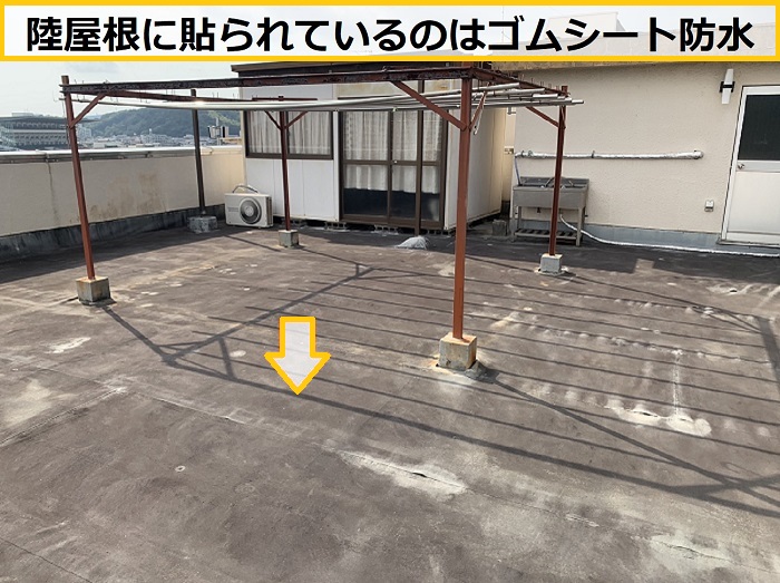 高槻市｜ビル屋上のシート防水を無料点検！陸屋根の劣化症状を徹底調査