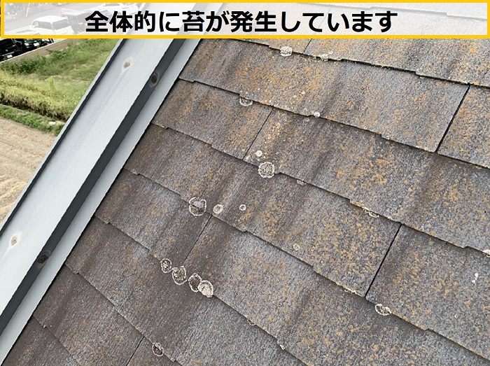 茨木市｜アパートの屋根点検！築20年の2階建てで必要な修理内容とは？