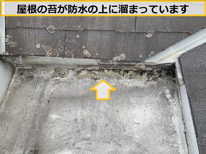 茨木市｜アパートの屋根点検！築20年の2階建てで必要な修理内容とは？