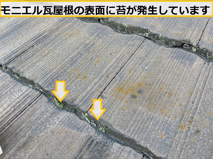高槻市｜モニエル瓦の色あせ・劣化を調査！無料点検で分かった補修方法