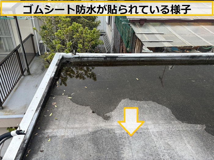 大阪市｜屋上に水が溜まる原因とは？2階建て店舗の雨漏り調査事例