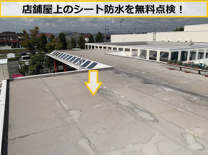 枚方市｜店舗屋上のシート防水を無料点検！塩ビシート防水におすすめの工法を解説