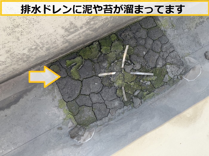 枚方市｜店舗屋上のシート防水を無料点検！塩ビシート防水におすすめの工法を解説