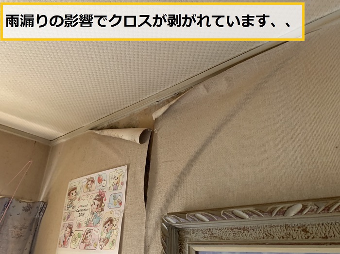 池田市｜雨漏り発生！連棟屋根の無料点検・調査事例をご紹介