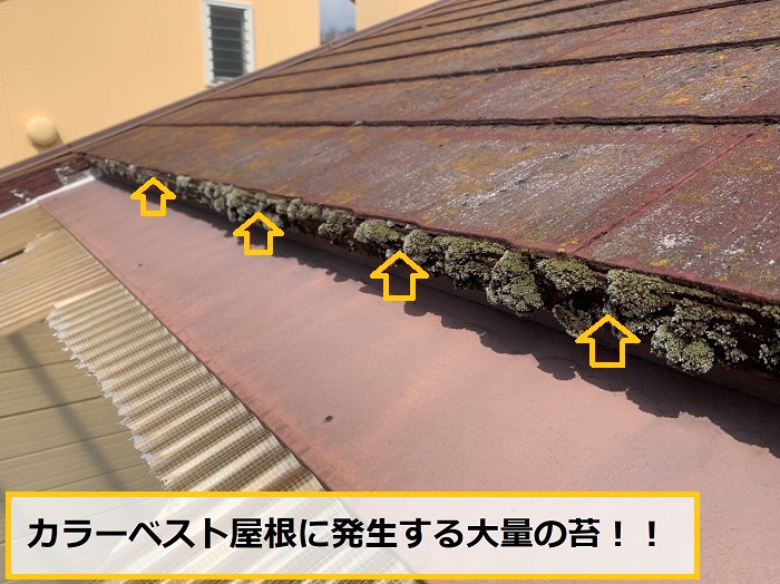 池田市｜雨漏り発生！連棟屋根の無料点検・調査事例をご紹介