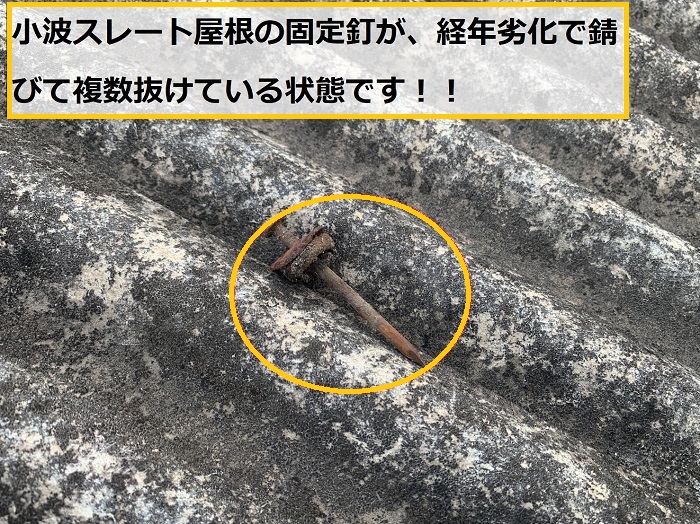 大阪市｜平屋倉庫で雨漏り発生！小波スレート屋根の無料点検事例
