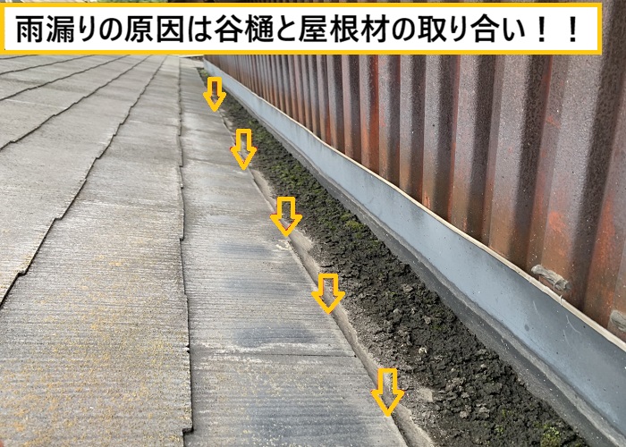 池田市｜隣家境界の取り合い部で発生した雨漏り調査