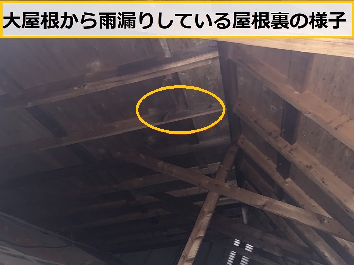 茨木市｜崩れかけた庇屋根を無料点検！雨漏り補修が必要な劣化症状とは？