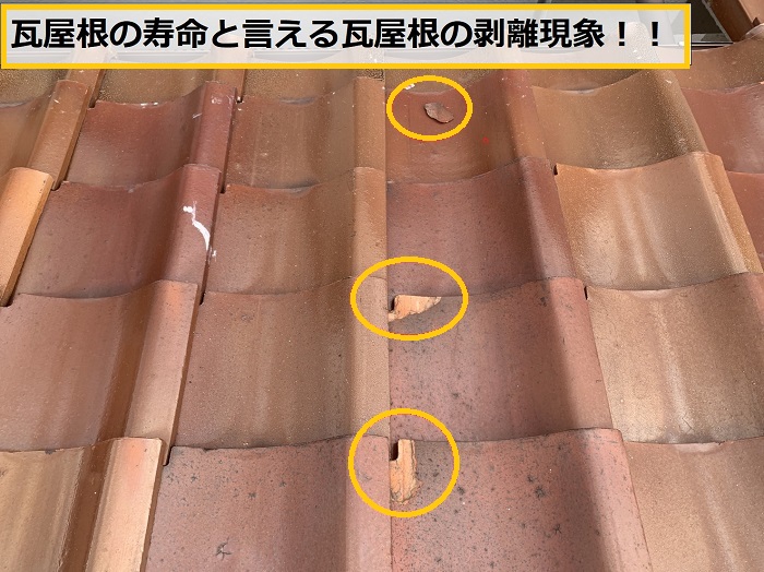 枚方市｜瓦屋根の耐用年数とは？無料点検で分かった劣化状況と見積内容