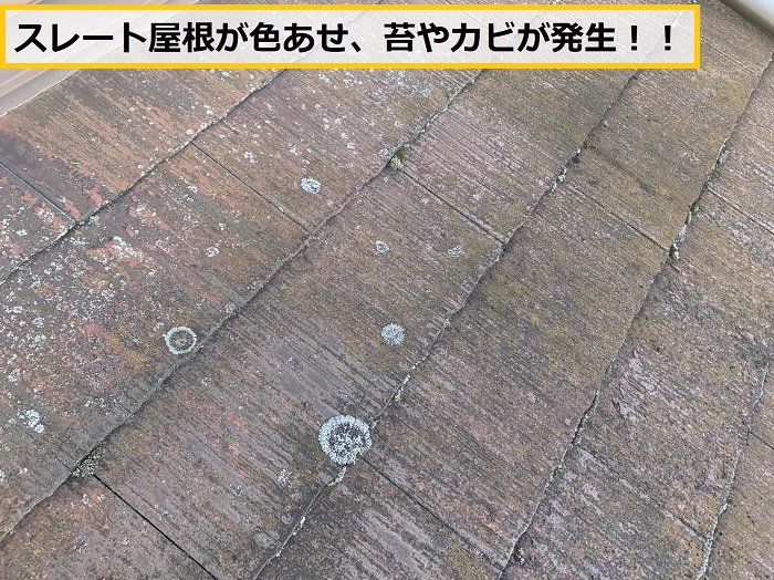 枚方市｜スレート屋根の雨漏り原因を無料点検！劣化症状と対策を解説