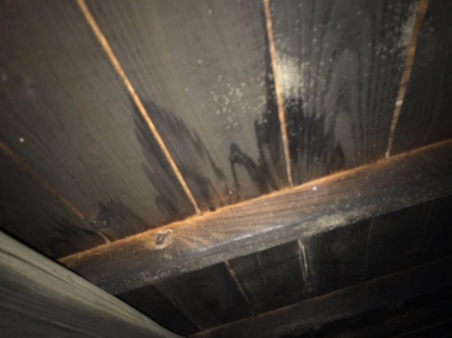 葺き替え調査雨染み