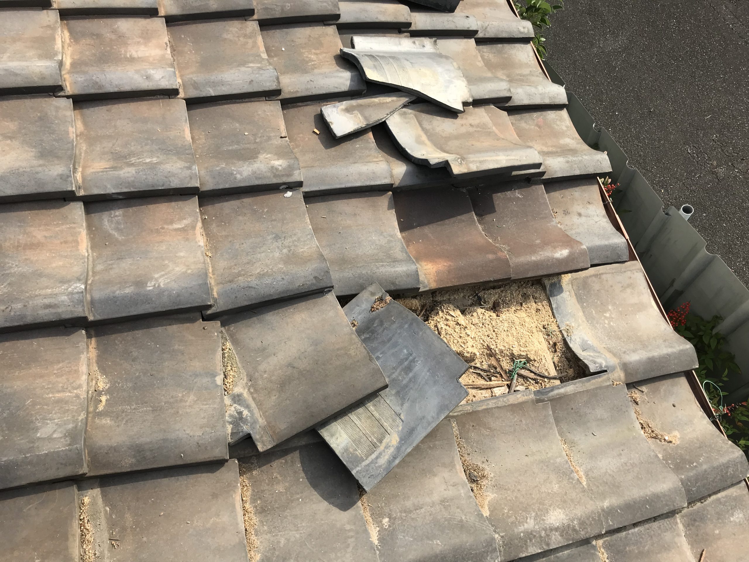 剥き出しの葺き土