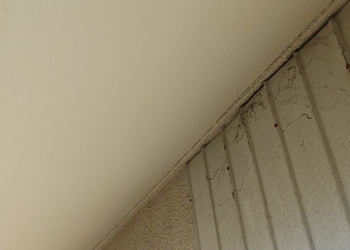 吹田市で軒天の補修工事が完了した様子