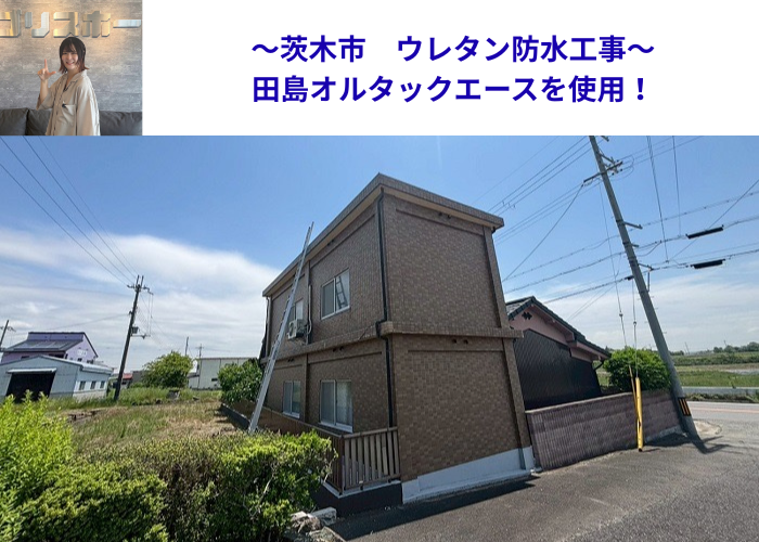 田島オルタックエースを用いて屋上ウレタン防水工事を行う現場の様子