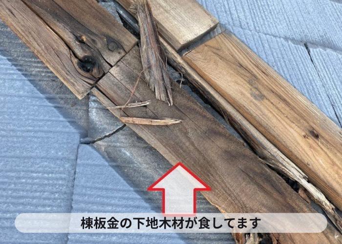 棟板金の下地木材が腐食している様子