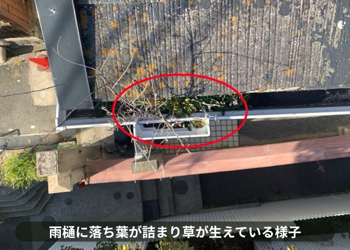 吹田市　雨樋内部に落ち葉が詰まり草が生えている様子
