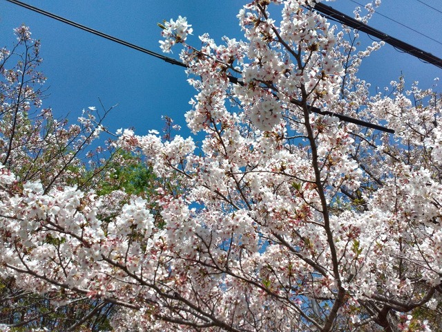 春　夏前　塗装