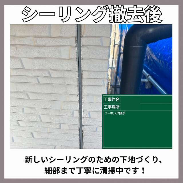 シーリング撤去