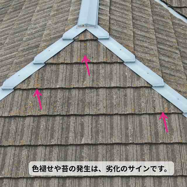 モニエル瓦　色褪せ　苔