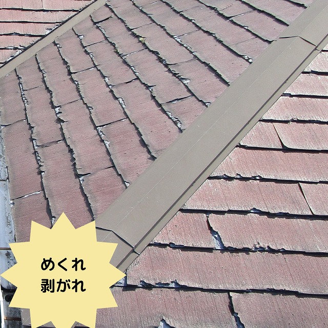 パミール　めくれ　剥がれ