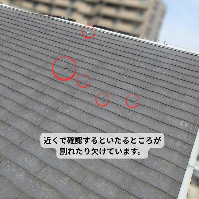 割れ　欠け　コロニアル