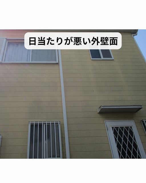 外壁　日当たり　悪い　