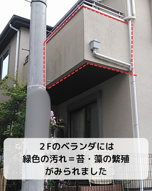 苔　藻　外壁　ベランダ