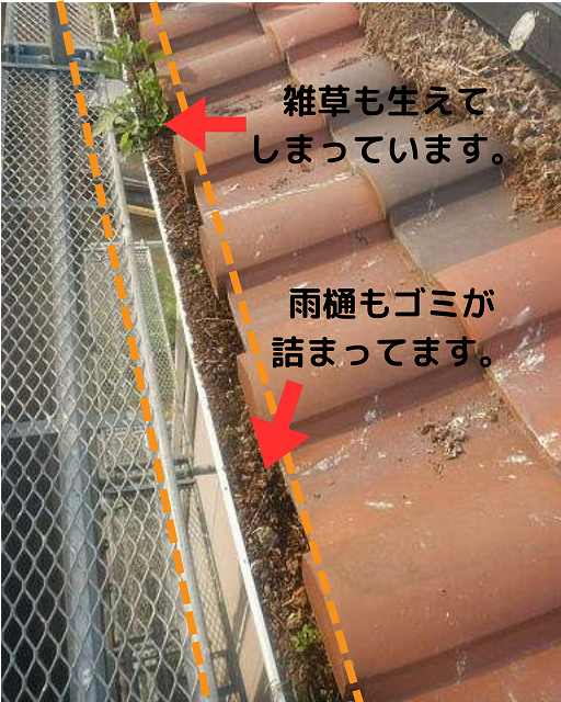 鳩被害　雨樋詰まり　屋根　糞　巣