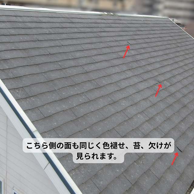 色褪せ　苔　欠け