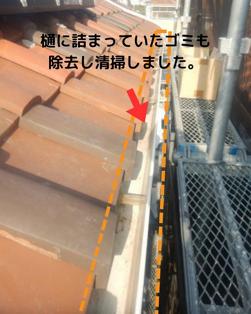 樋のゴミ　清掃