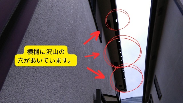雹被害
