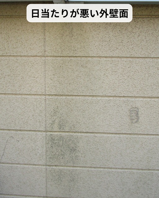 外壁　汚れ　神戸市　西区
