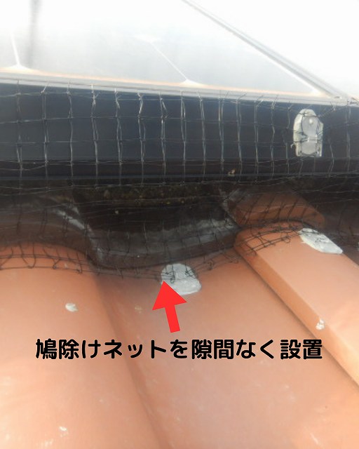 鳩除けネット 設置