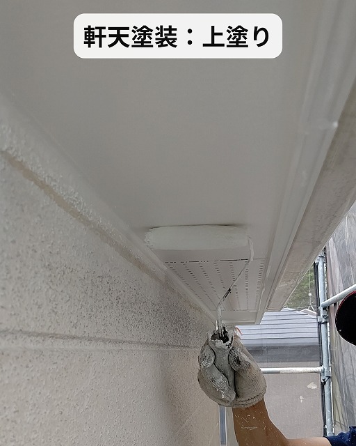 軒天　上塗り
