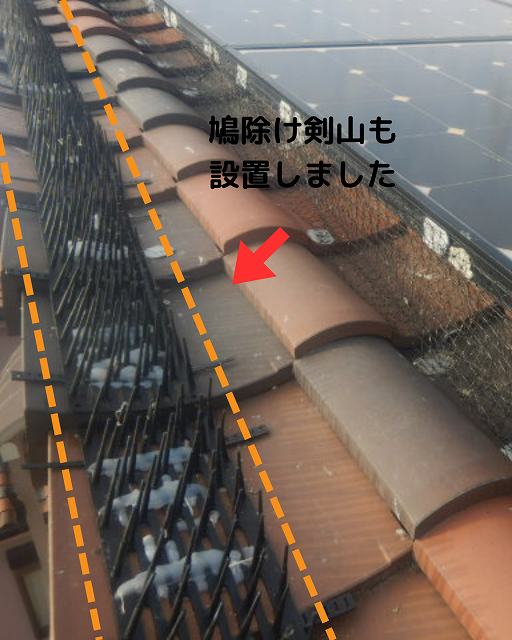 鳩除け 剣山設置
