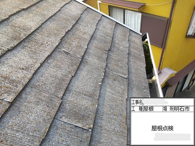 カラーベスト　苔