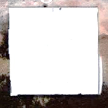 カビ　ステックプラスSW