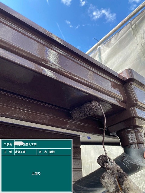 雨樋　上塗り　播磨町