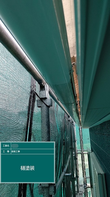 雨樋　塗装