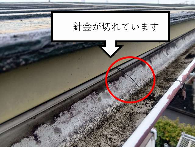 雨樋針金切れています