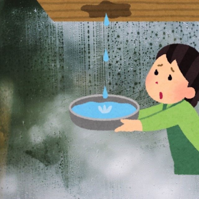 雨漏り