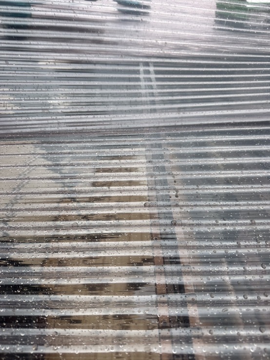 新しいポリカ波板設置