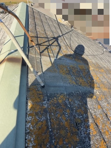 スレート屋根のコケ