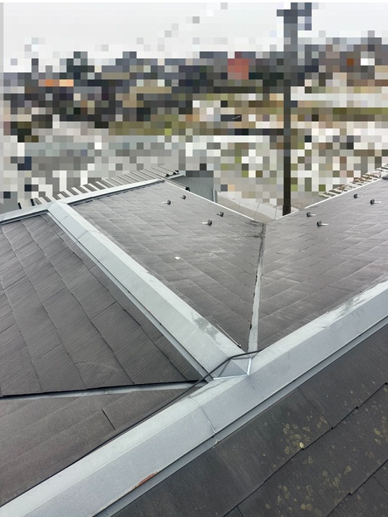 棟板金の釘浮き　ビスへ交換