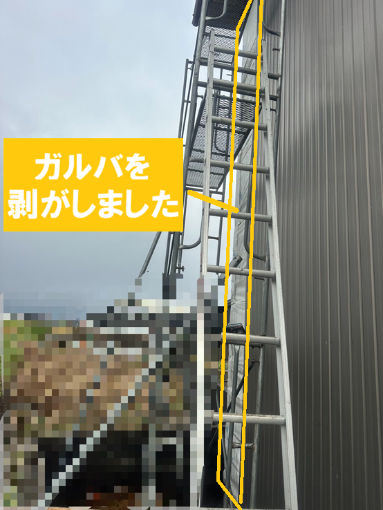 ガルバを剥がしました